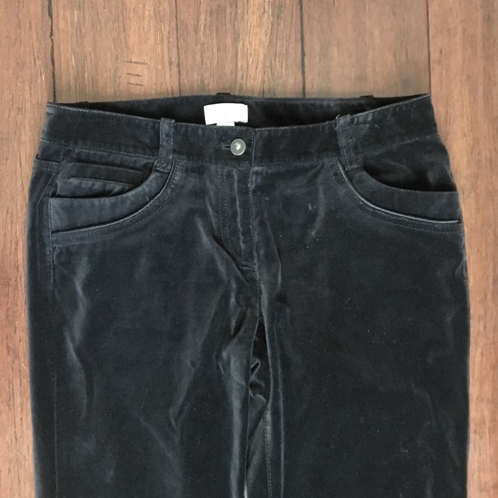 Ann Taylor Loft Black Velour Marisa Pants